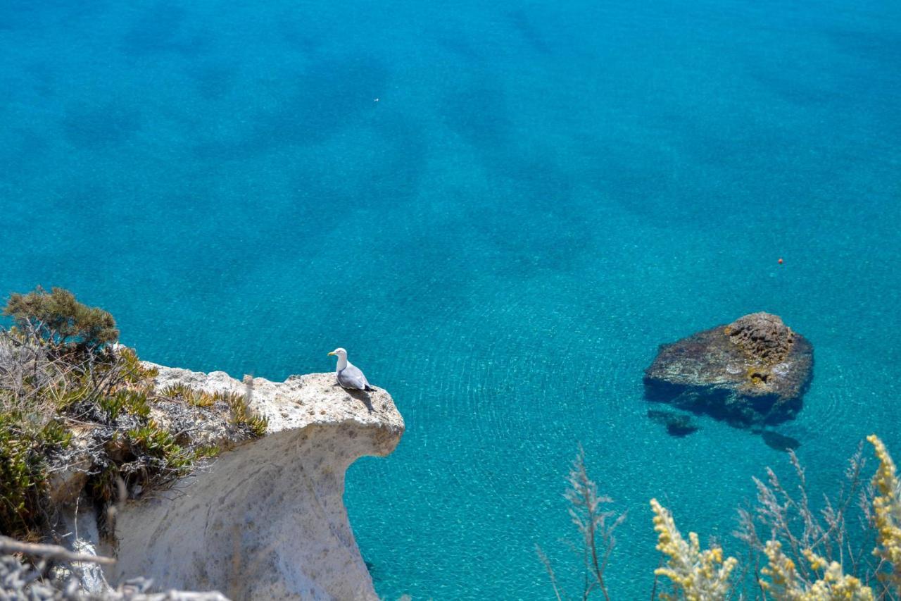 Maridea - Cave Suites Ponza Exteriér fotografie